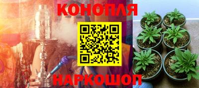 прущие крисы Славянск-на-Кубани
