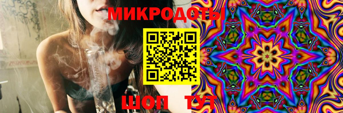 Псилоцибиновые грибы Psilocybe Новоуральск